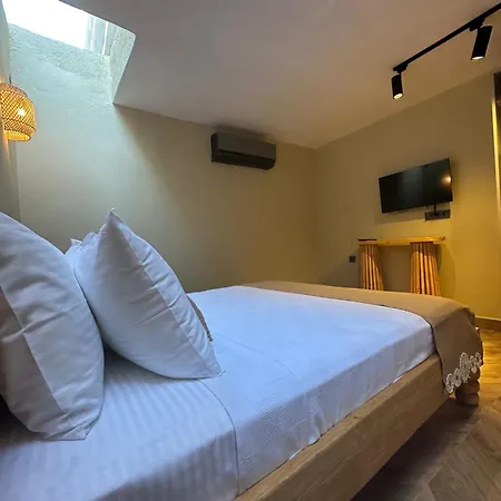 Trina Talles - Luxury Design Adult Only Szálloda 4*